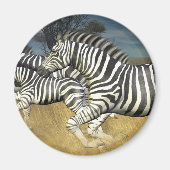 Aimant Stripes de course - Zebra (Devant)