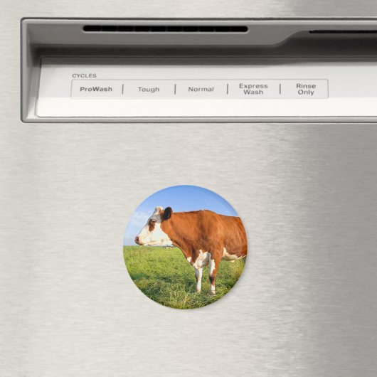 Aimant Strong Friesian (In Situ (Lave-vaisselle))