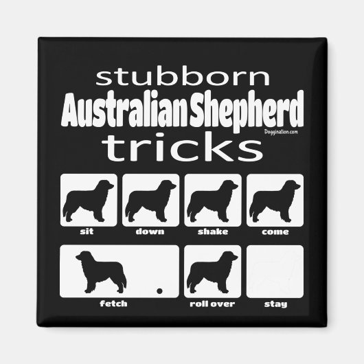 Aimant Stubborn Australian Shepherd Tricks (Devant)