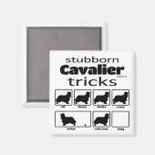 Aimant Stubborn Cavalier Tricks (Recto/Verso)