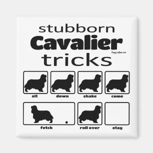 Aimant Stubborn Cavalier Tricks