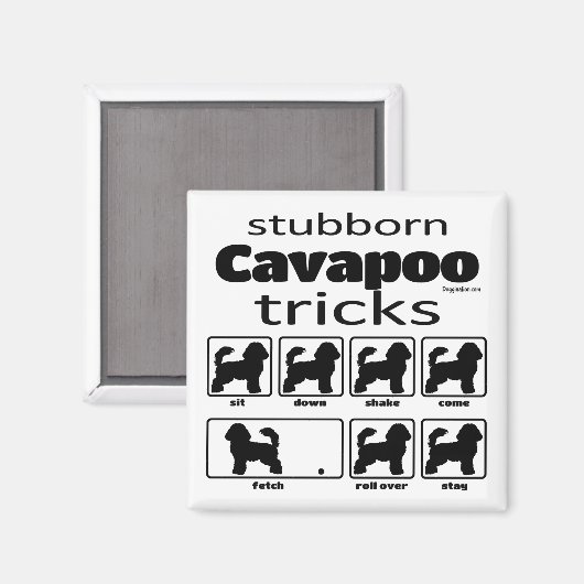 Aimant Stubborn Cavapoo Tricks (Recto/Verso)