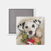 Aimant studio (Recto/Verso)