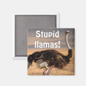 Aimant Stupides lamas ! (Recto/Verso)