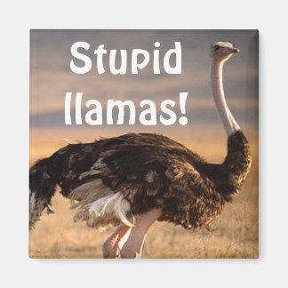 Aimant Stupides lamas !