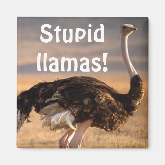 Aimant Stupides lamas ! (Devant)