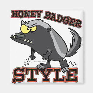 AIMANT STYLE DU RATOELIER
