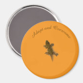 Aimant Style Lézard (Recto/Verso)