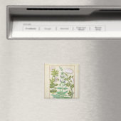 Aimant Succès de miel, Sage et Rose (In Situ (Lave-vaisselle))