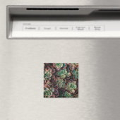 Aimant Succulent (In Situ (Lave-vaisselle))