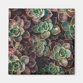 Aimant Succulent (Devant)