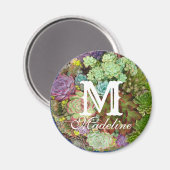 Aimant Succulents dans le planteur (Recto/Verso)