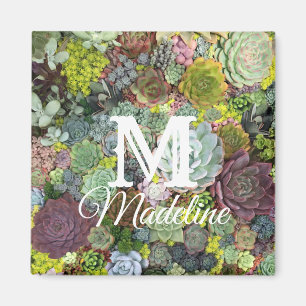 Aimant Succulents de verdure