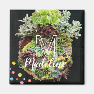Aimant Succulents décoratifs