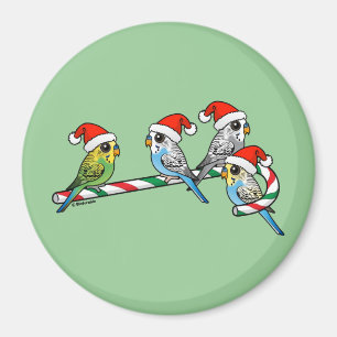 Aimant Sucre de canne Père Noël Budgies