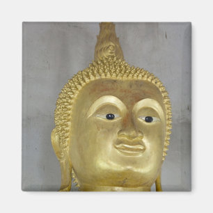 Aimant Sud-est de la Thaïlande, île de Ko Samui alias