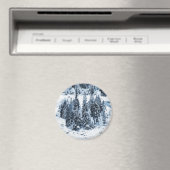 Aimant Suisse (In Situ (Lave-vaisselle))