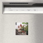 AIMANT SUISSE (In Situ (Lave-vaisselle))