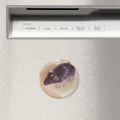 Aimant suisse à la souris au fromage (In Situ (Lave-vaisselle))