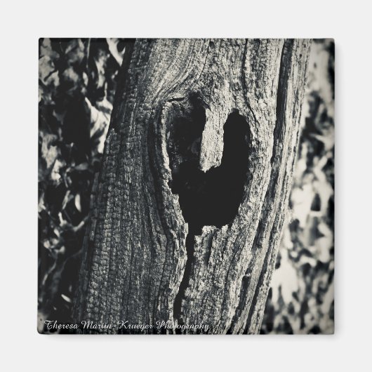 Aimant "Suivez votre coeur" (Devant)