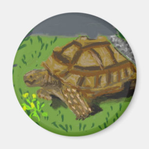 Aimant Sulcata Tortoise