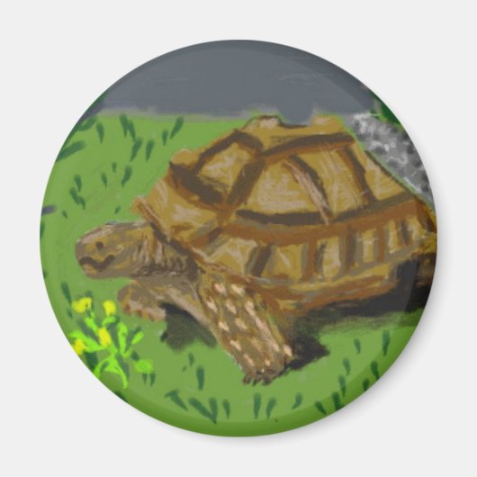 Aimant Sulcata Tortoise (Devant)