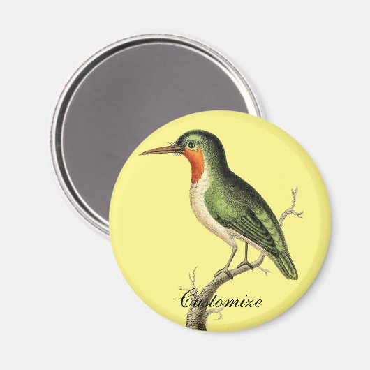 Aimant Sun Thunder_Cove (Recto/Verso)