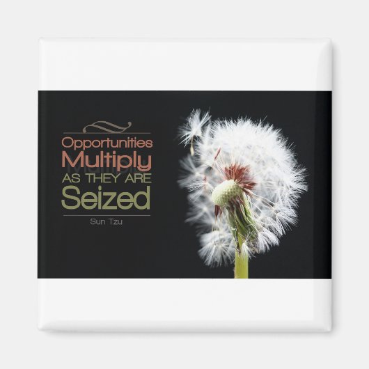 Aimant  | Sun Tzu (Devant)