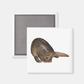Aimant Sunda Pangolin (Recto/Verso)