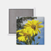 Aimant sunfleernbumblebee (Recto/Verso)