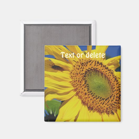 Aimant Sunflower And Insect Guest Personalized (Recto/Verso)