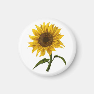 Aimant Sunflower Sunshine Floral Aquarelle Fleur