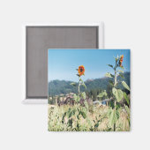 Aimant Sunflowers d'été....... (Recto/Verso)