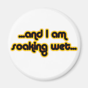 Aimant Sunglow humide de trempage