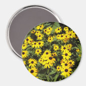 Aimant Sunlit Meadow (Recto/Verso)