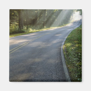 Aimant Sunrise à travers le brouillard le long de Green 