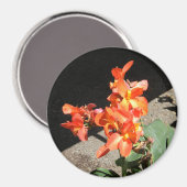 Aimant Sunshine Love... (Recto/Verso)