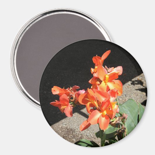 Aimant Sunshine Love... (Recto/Verso)