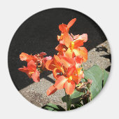 Aimant Sunshine Love... (Devant)