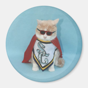 Aimant Super Cat