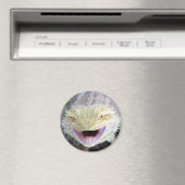 Aimant Super Happy Bearé Dragon (In Situ (Lave-vaisselle))