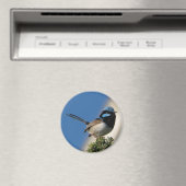 Aimant Superbe laine de fée (In Situ (Lave-vaisselle))