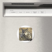 Aimant Superbe loup gris (In Situ (Lave-vaisselle))