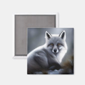 Aimant Superbe Renard Artique (Recto/Verso)