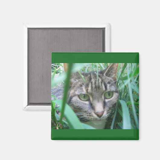 Aimant Sur l'aimant Chasse Chat (Recto/Verso)