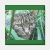 Aimant Sur l'aimant Chasse Chat (Devant)