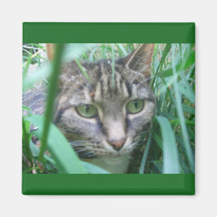 Aimant Sur l'aimant de chat de chasse