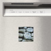 Aimant Sur les rochers (In Situ (Lave-vaisselle))