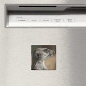 Aimant Suricate (In Situ (Lave-vaisselle))