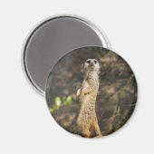Aimant Suricate (Recto/Verso)